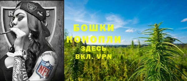 MESCALINE Кинешма